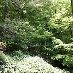 Um Burebierg 35m2 *