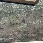 Um Burebierg 35m2 Buschrodt
