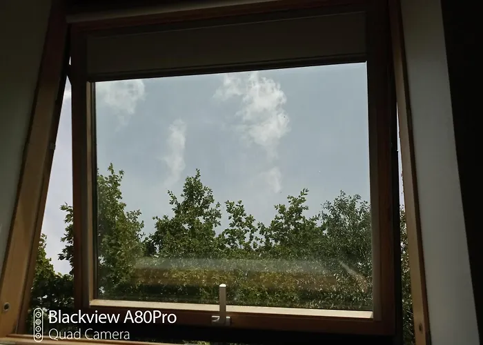 Um Burebierg 35m2 * Buschrodt