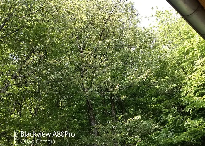 Um Burebierg 35m2 Buschrodt