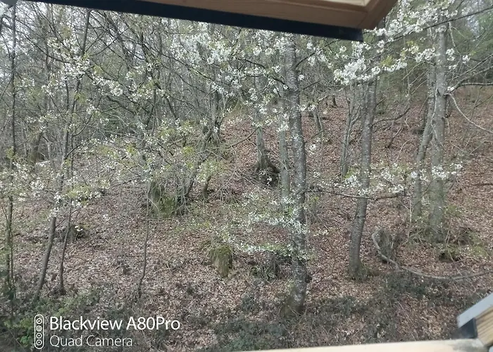 Um Burebierg 35m2 Buschrodt