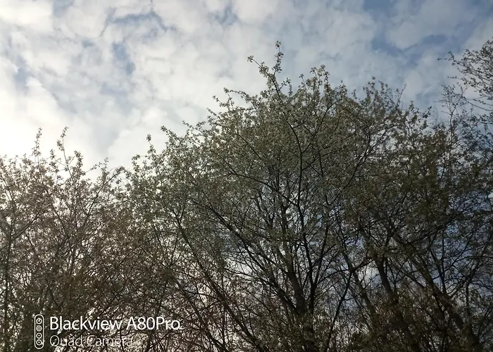 Appartement Um Burebierg 35m2 *