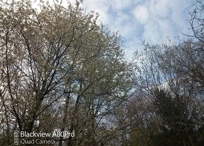 Um Burebierg 35m2 Apartament *