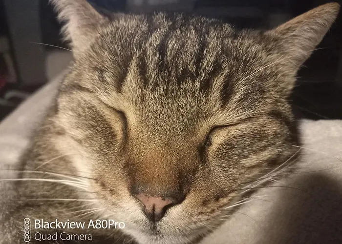 Um Burebierg 35m2 Buschrodt