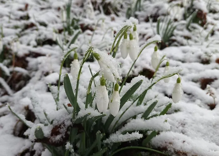 Um Burebierg 35m2 Appartement *