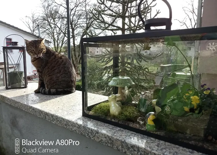 Um Burebierg 35m2 Appartement